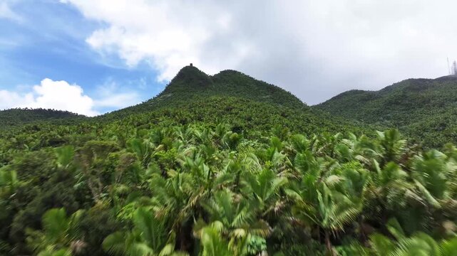 Epic Aerial View of El Yunque Observatory Tower Amid Vast Puerto Rican Forest