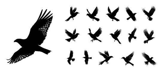 Fototapeta premium Flying bird silhouette collection with wings spread in different flight poses vector