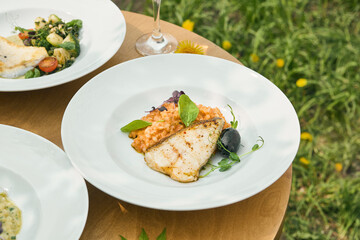 Halibut steak with tomato bulgur, bright daylight, minimal overhead plate presentation
