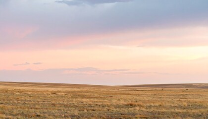 Obraz premium Vast, golden prairie at sunset