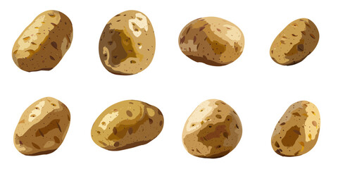 Obraz premium Multiple vector illustrations of delicately drawn potatoes