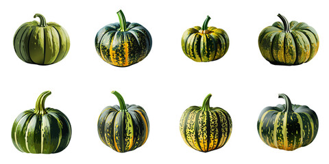 Multiple vector illustrations of delicately drawn green pumpkins

