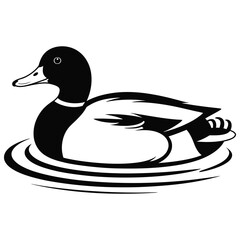 duck on white background