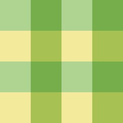 Seamless plaid pattern	
