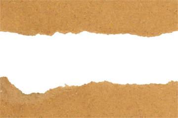 Brown ripped paper torn edges strips isolated on white background