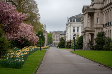 Fototapeta premium tranquil scene showcasing beauty of spring blossoms in european capital parks devoid of people
