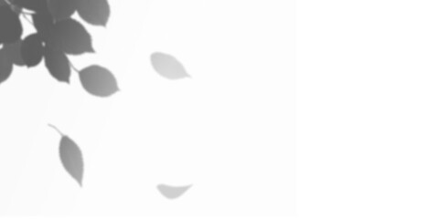 Simple, elegant gray gradient background ideal for websites, presentations, and design projects.  Subtle, versatile, and high-resolution.