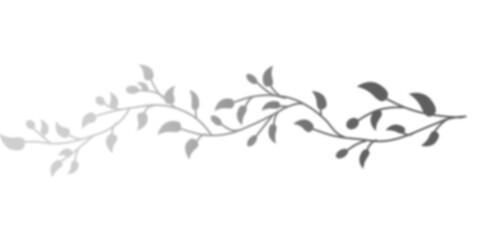 Ornate grayscale illustration of a flowing vine with leaves. Perfect for wedding invitations, cards, and decorative design projects.