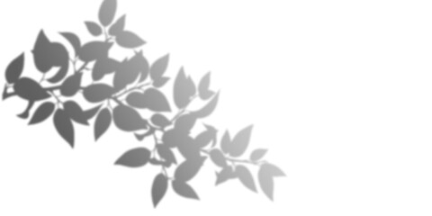 Stylish grayscale floral corner element. Perfect for design projects needing a subtle, elegant touch.  High-resolution image.