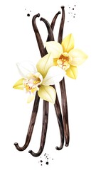 Vanilla pods and flowers (1)