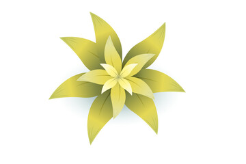 Yellow flower isolated
Single yellow bloom white background
Cut out yellow flower
Yellow floral clipart
Yellow blossom transparent background