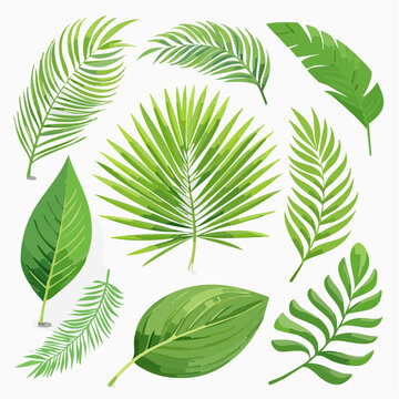 Artistic illustrations of lush green botanical leaves, including monstera, palm, fern, and more, designed for nature lovers, environmental initiatives, tropical designs, or wellness branding.
