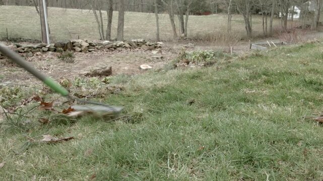 raking grass yardwork in Spring