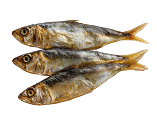 Three dried, small fish arranged horizontally