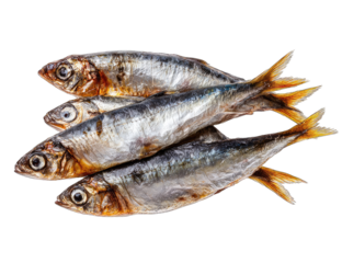 Four dried sardines arranged
