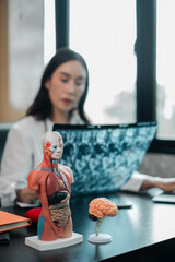 A medical professional focuses on work with anatomical models of the human body and brain on the...