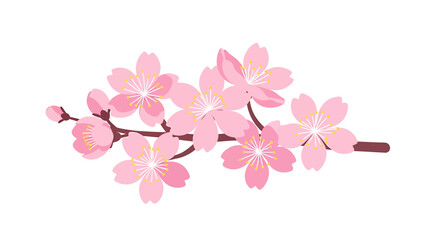 Fototapeta premium Delicate Cherry Blossom Branch Illustration for Springtime Designs and Floral Art