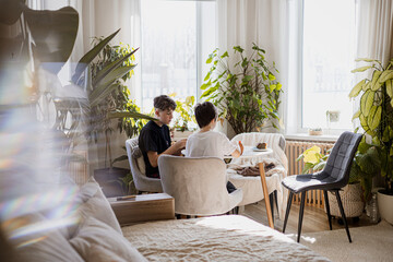 Two boys having breakfast at cozy home table, bright room with large windows and houseplants