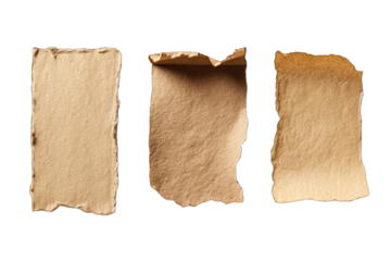 Three aged, torn pieces of light beige paper, arranged horizontally.  Each piece has irregular edges and a slightly creased texture