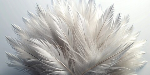 Obraz premium Soft overlapping white feathers with delicate texture and shine