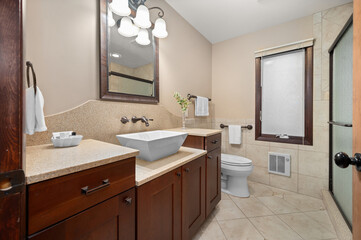 Contemporary Bathroom with Vessel Sink on Countertop