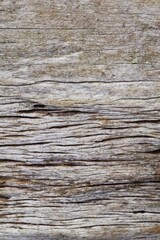 close up of wooden texture for background                                                                                                                                                               