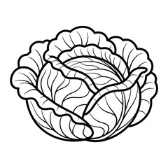 Obraz premium vector illustration of cabbage coloring page