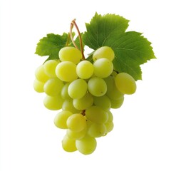 Obraz premium Fresh Green Grapes with Vibrant Leaves on a White Background for Healthy Eating and Culinary Uses
