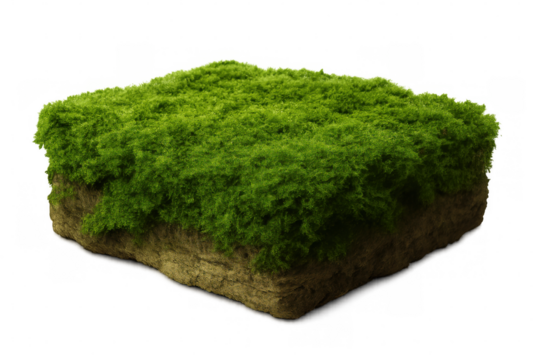 Verdant moss-covered soil block nestled on transparent surface, showcasing lush green texture and natural organic detail - Powered by Adobe