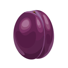 A single, ripe, dark purple plum, depicted in a detailed illustration against a white background.