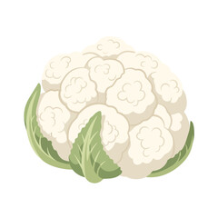 A whole cauliflower with green leaves, illustrated in a simple, cartoonish style against a white background.