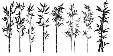 Obraz premium Bamboo Forest grows Tall and Graceful with Asian Theme.