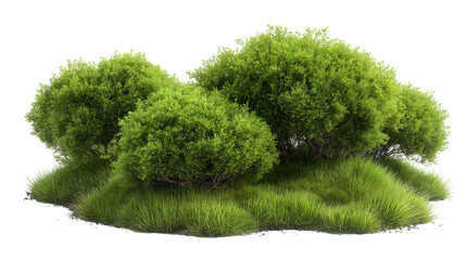 A cluster of lush green bushes and grass isolated on transparent background