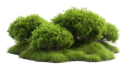 A cluster of lush green bushes and grass isolated on transparent background