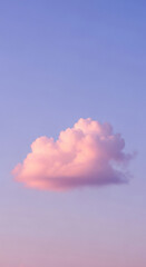 Soft Pink Cloud in Pastel Sky at Twilight