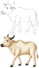 Realistic and Outline Cow Vector Illustration