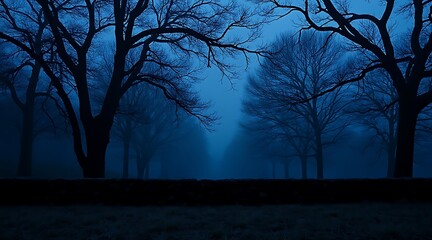 Silhouetted bare trees in deep blue fog at twilight forest dark