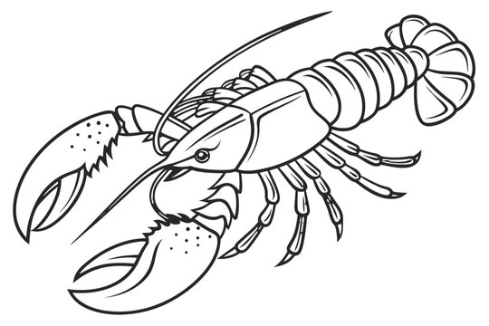 black and white lobster drawing clip art preview