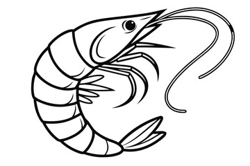 Shrimp on a plain white background