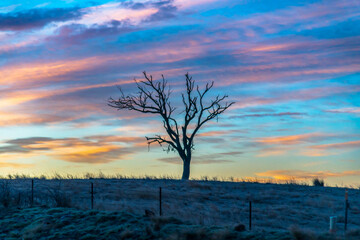 Obraz premium Winter Sunrise over the Australian countryside on the outskirts of Blayney