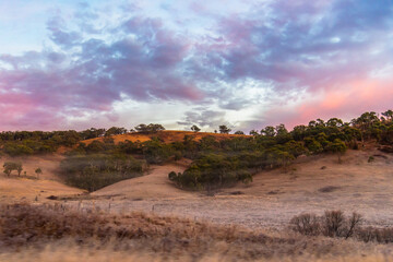 Naklejka premium Winter Sunrise over the Australian countryside on the outskirts of Blayney