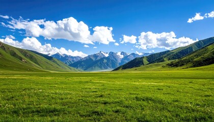 Lush green valley stretches to snow-capped mountains under a vibrant blue sky