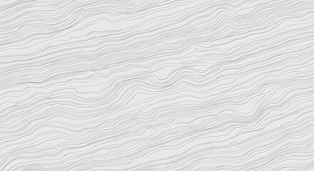 Fototapeta premium Abstract Line Art: Serene Gray Waves