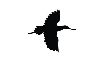 Obraz premium Flying American avocet bird Silhouette Design And Vector Illustration. 