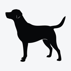 Labrador Retriever Silhouette – Athletic Standing Dog Vector Illustration