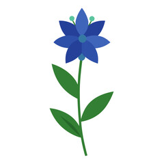 blue flower on white background