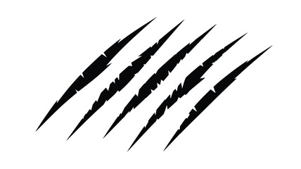 Animal Claw Scratches © Mst