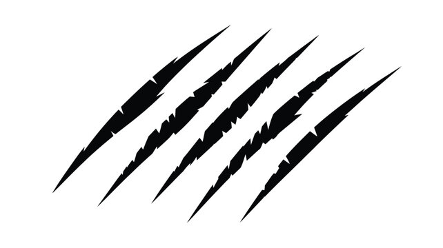 Animal Claw Scratches