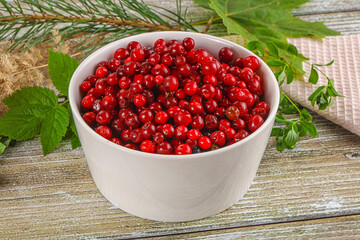 Natural organic wild forwst lingonberry
