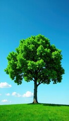 Fototapeta premium Lush green canopy, single tree against blue sky, view, lush
